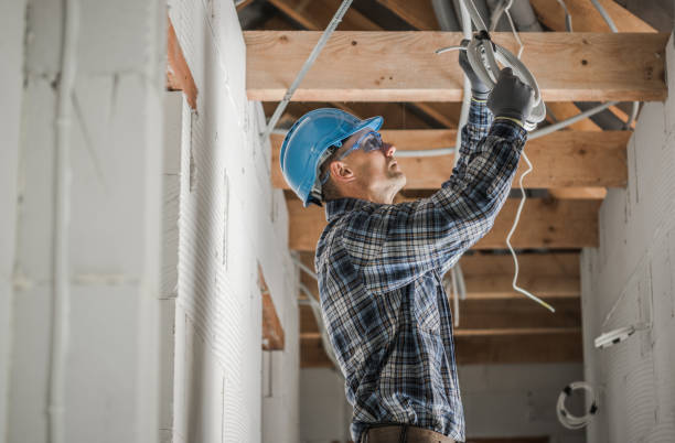 Best Electrical System Inspection  in Montrose, MI