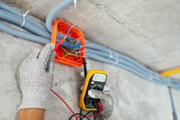 Best Electrical Rewiring Services  in Montrose, MI