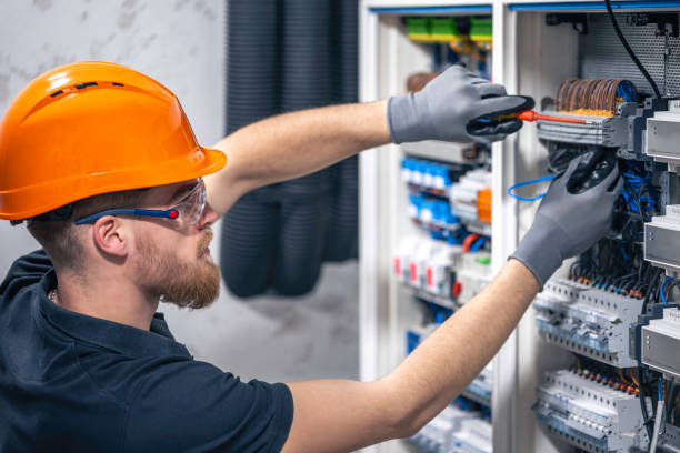 Best Electrician for Home Renovation  in Montrose, MI